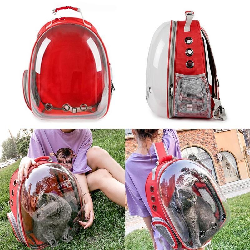 Ritzy Pet Carrier Bag