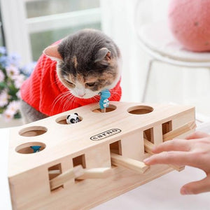 Interactive Cat Play Toy