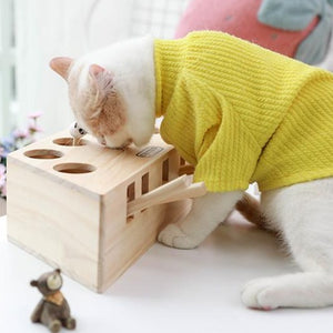 Interactive Cat Play Toy