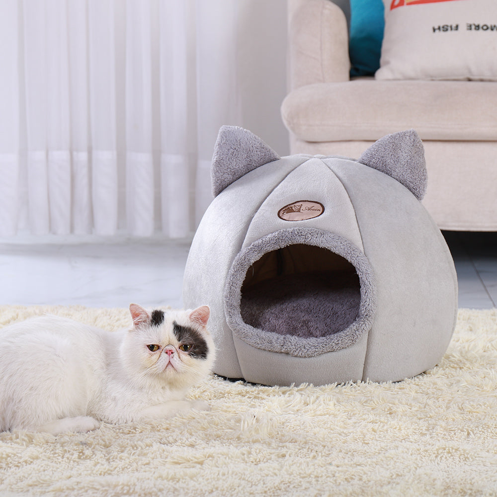 Cute Novelty Cat Bed