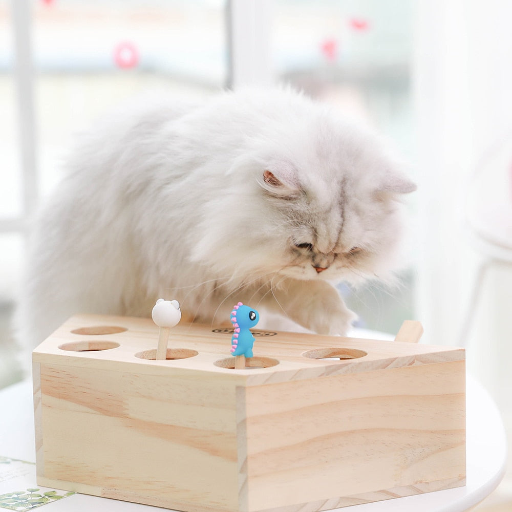 Interactive Cat Play Toy