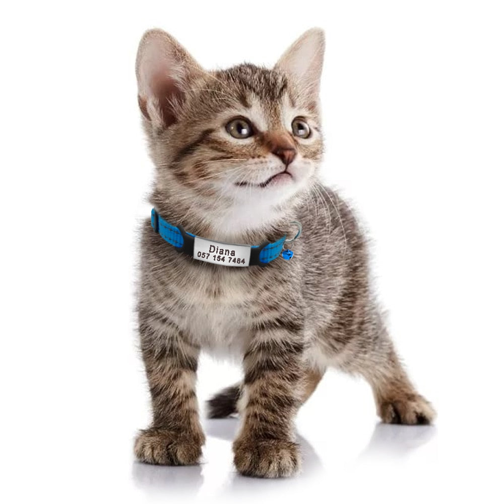 Personalized Cat Collar