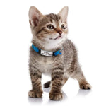 Load image into Gallery viewer, Personalized Cat Collar
