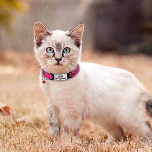 Personalized Cat Collar