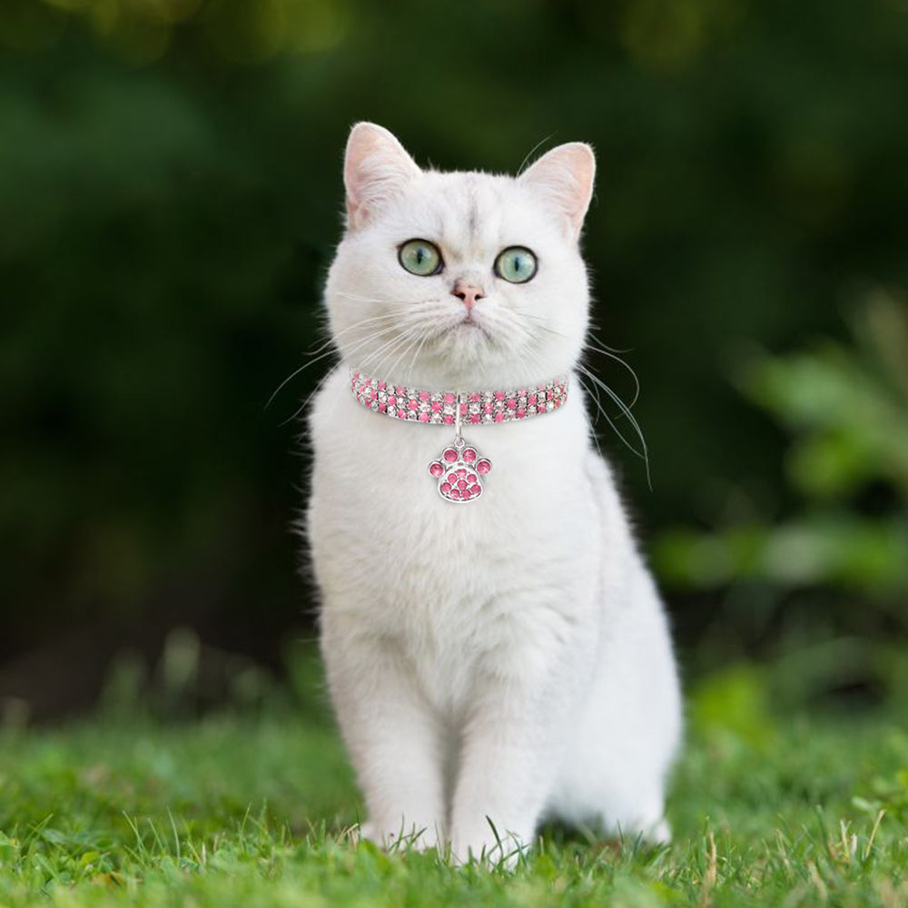 Glitzy Cat Collar with Paw Pendant